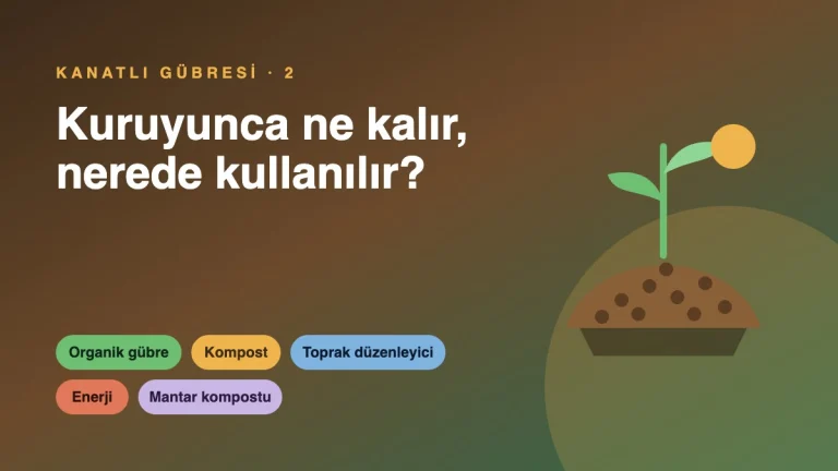 Kurutulmuş tavuk gübresinin kullanım alanları